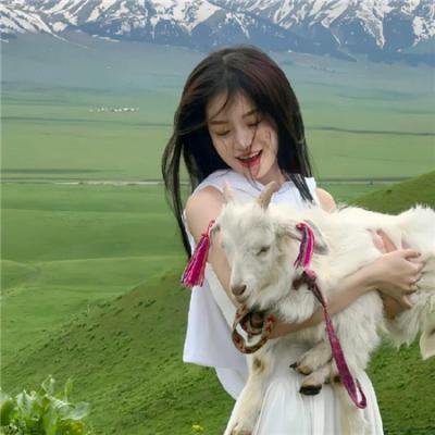 七个秘书 特别篇